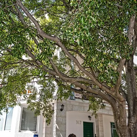 Nazario 3* Drvenik (Split-Dalmatia)